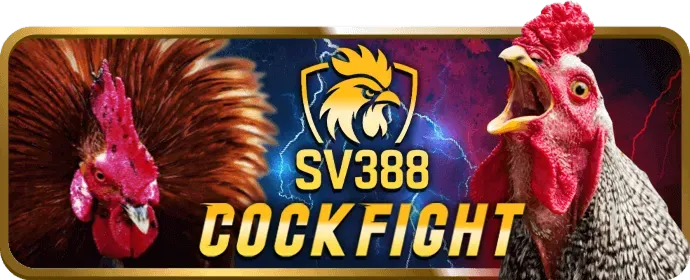 Hướng Dẫn Chơi Tiến Lên Miền Nam Tại c54 game